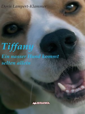 cover image of Tiffany,  ein nasser Hund kommt selten allein